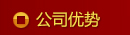 公司優(yōu)勢(shì)