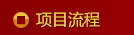 項目流程